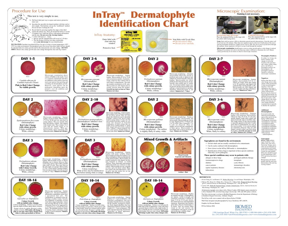 BioMed InTray DM - Image 2